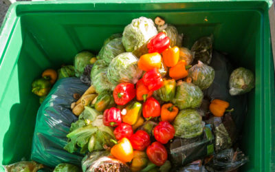 Everything You Need to Know About Food Waste